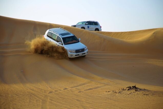 Evening Desert Safari (Pick Up By Bus)